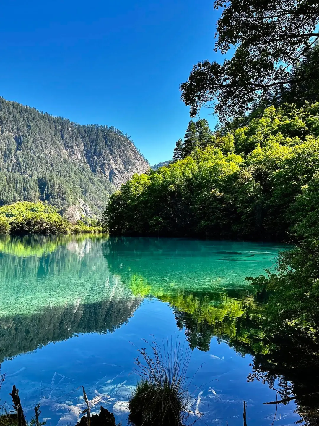 6.2📍九寨沟崩溃已回😭，来听我说实话