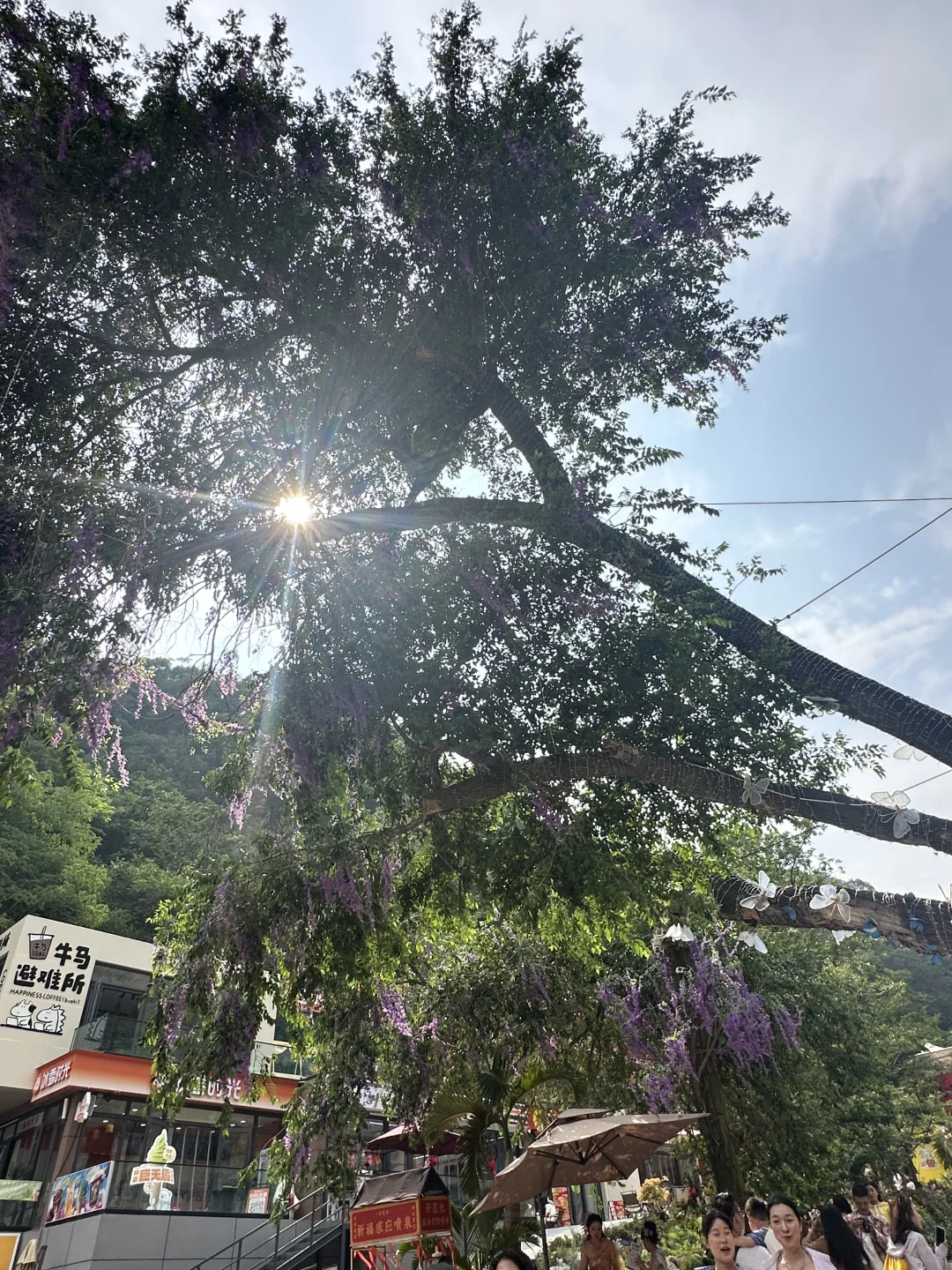 每一处都好适合拍照 好喜欢