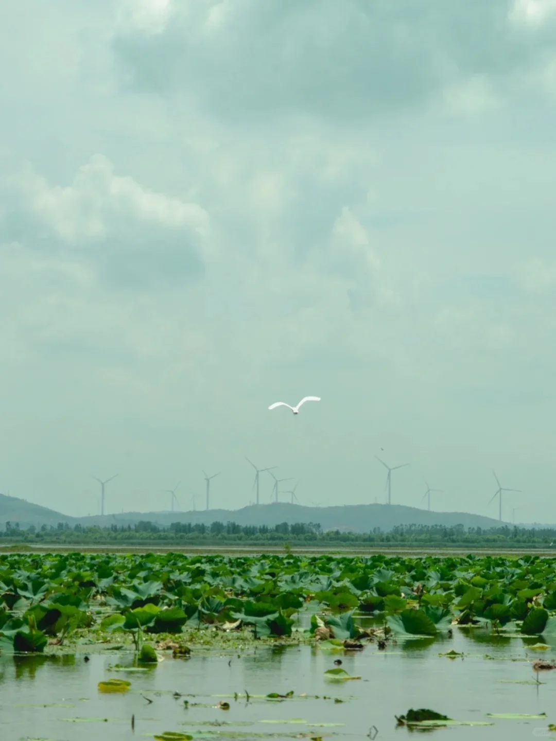 山东济宁游玩 | 一篇攻略教你怎么玩