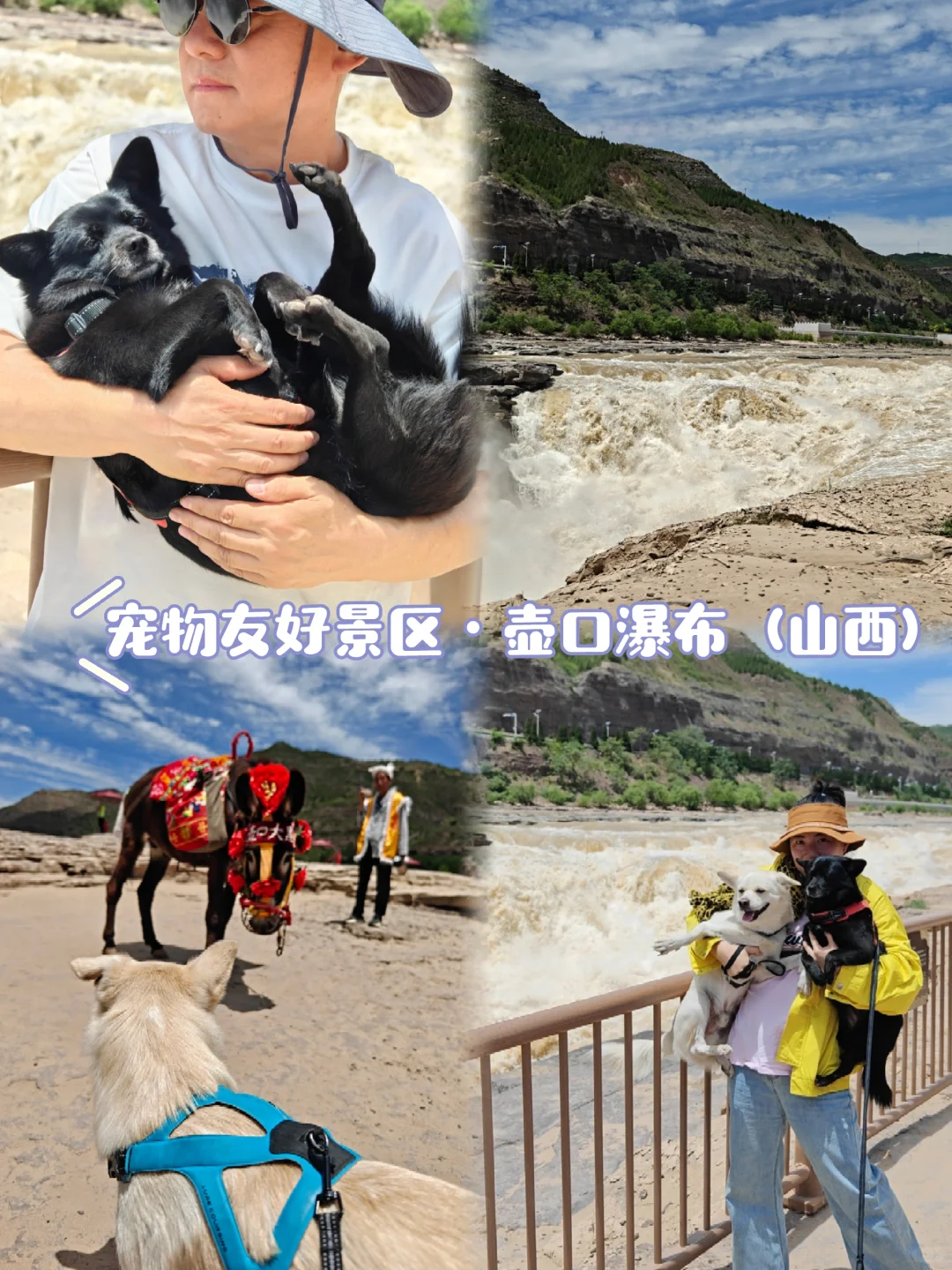 宠物友好景区·壶口瀑布（山西侧）