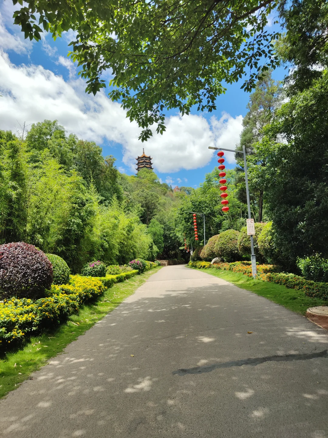 弥勒~不想去网红景点，就来这山顶森林书吧