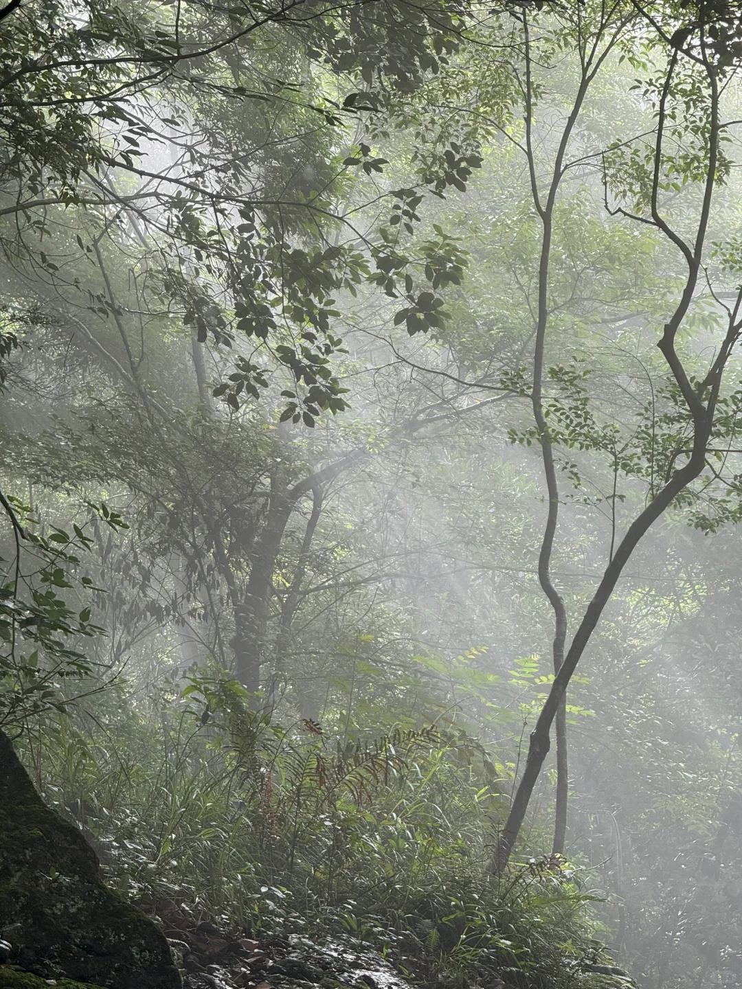 灵通山悬空寺🛕｜当代🐮🐴一有空就旅游攻略