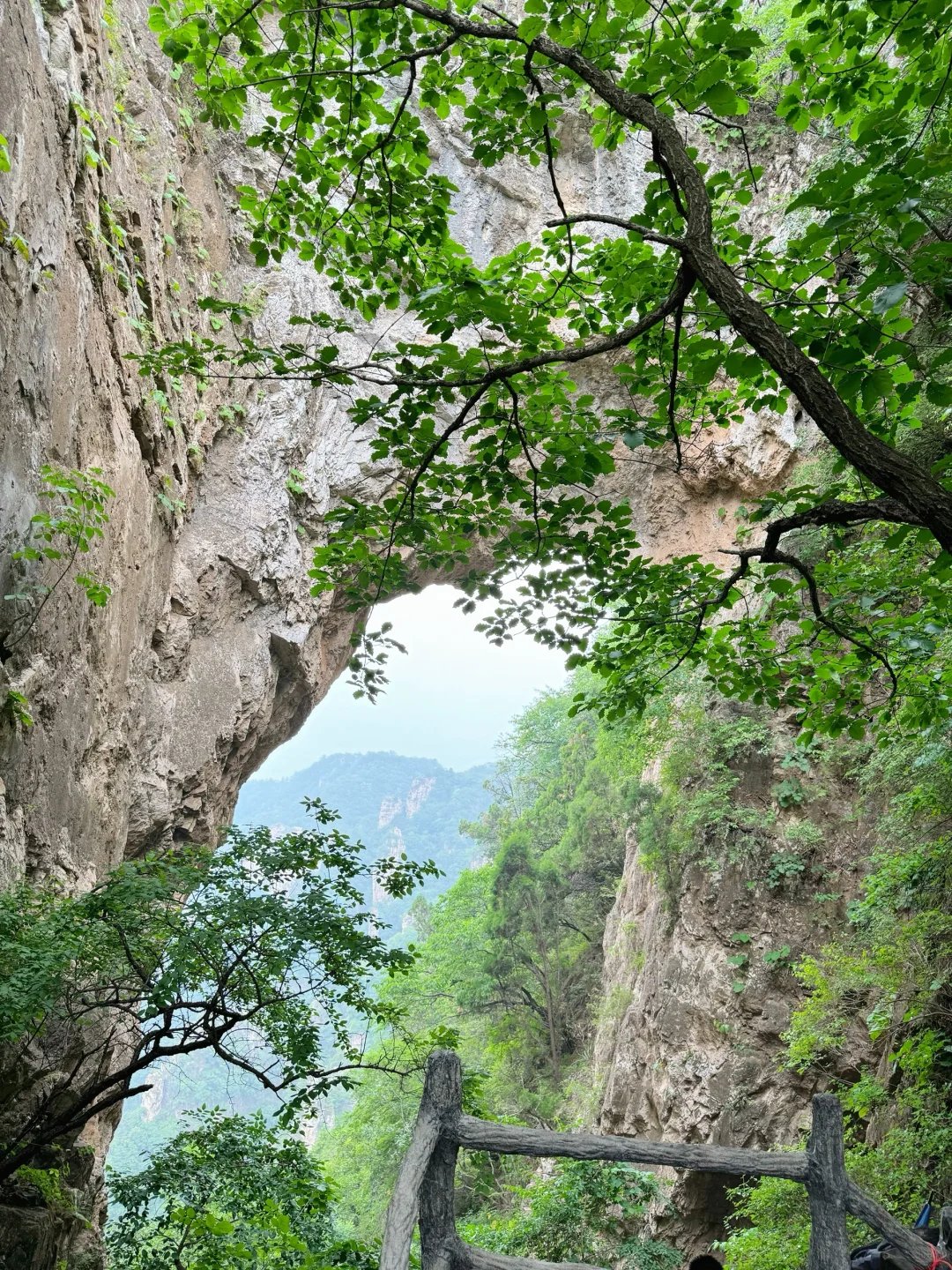 进山吸氧💚解锁小众景点云蒙山一日游攻略版