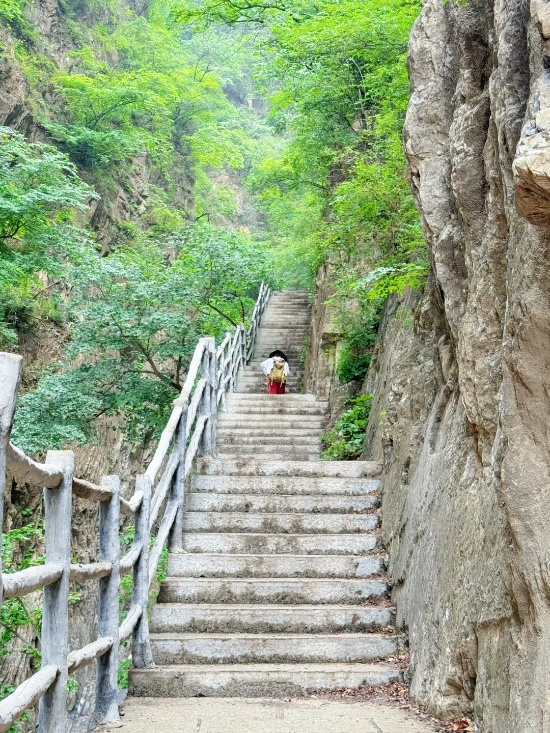 进山吸氧💚解锁小众景点云蒙山一日游攻略版