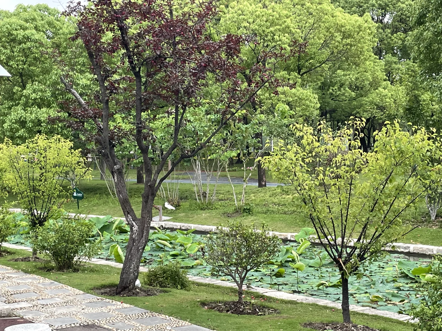 人民广场闵行分广场特色景点