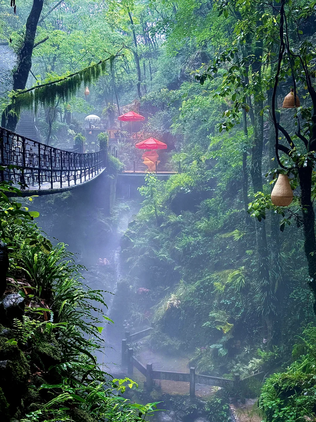 这也太美了！杭州仙桥洞的绿野仙踪🍃