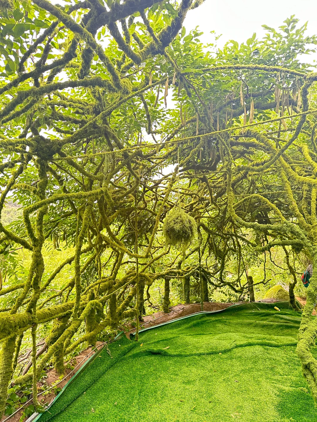 沂蒙云瀑洞天 | 临沂旅游景点游玩