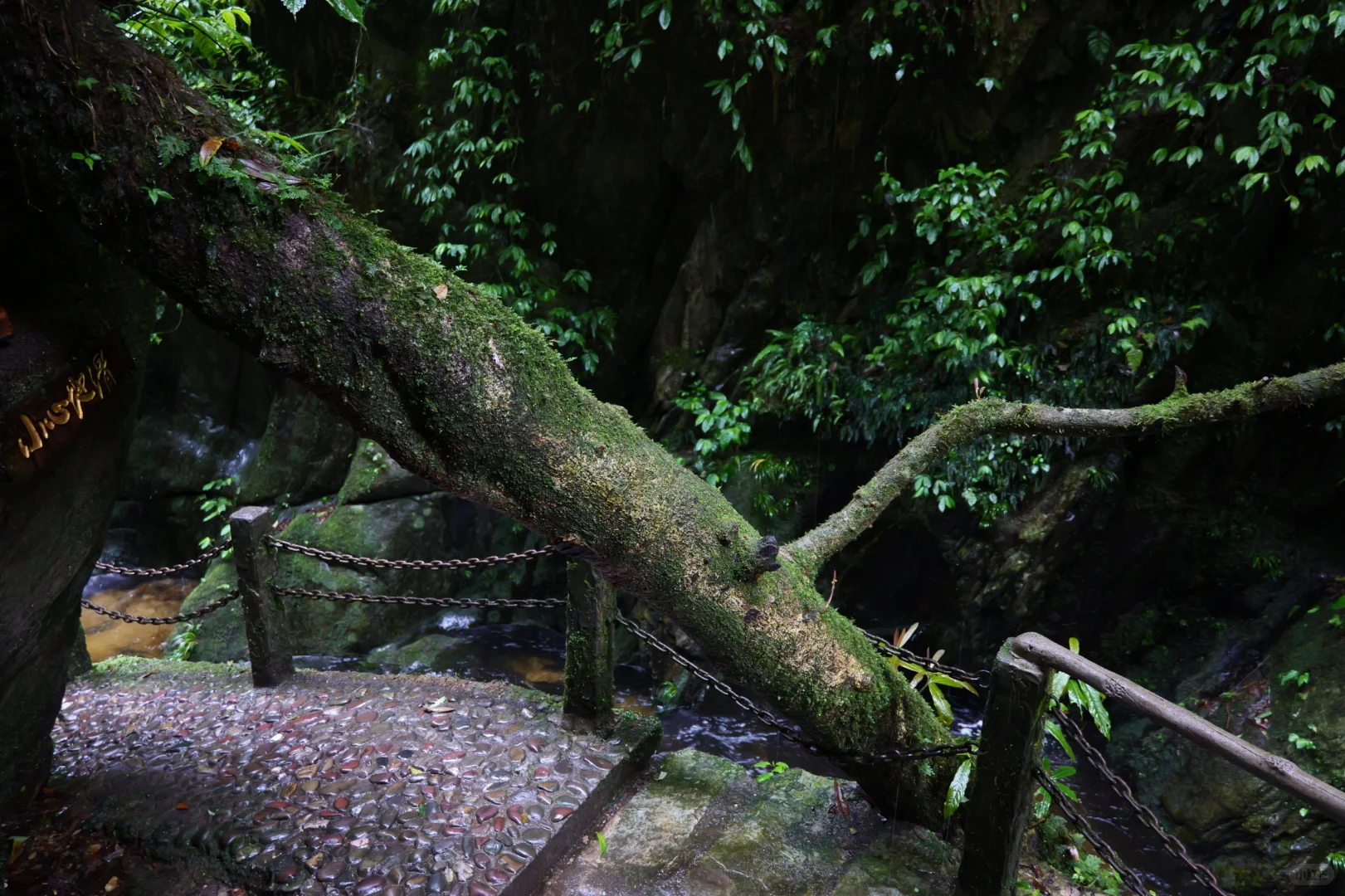 滇西南第一天,终于来到传说中的哀牢山