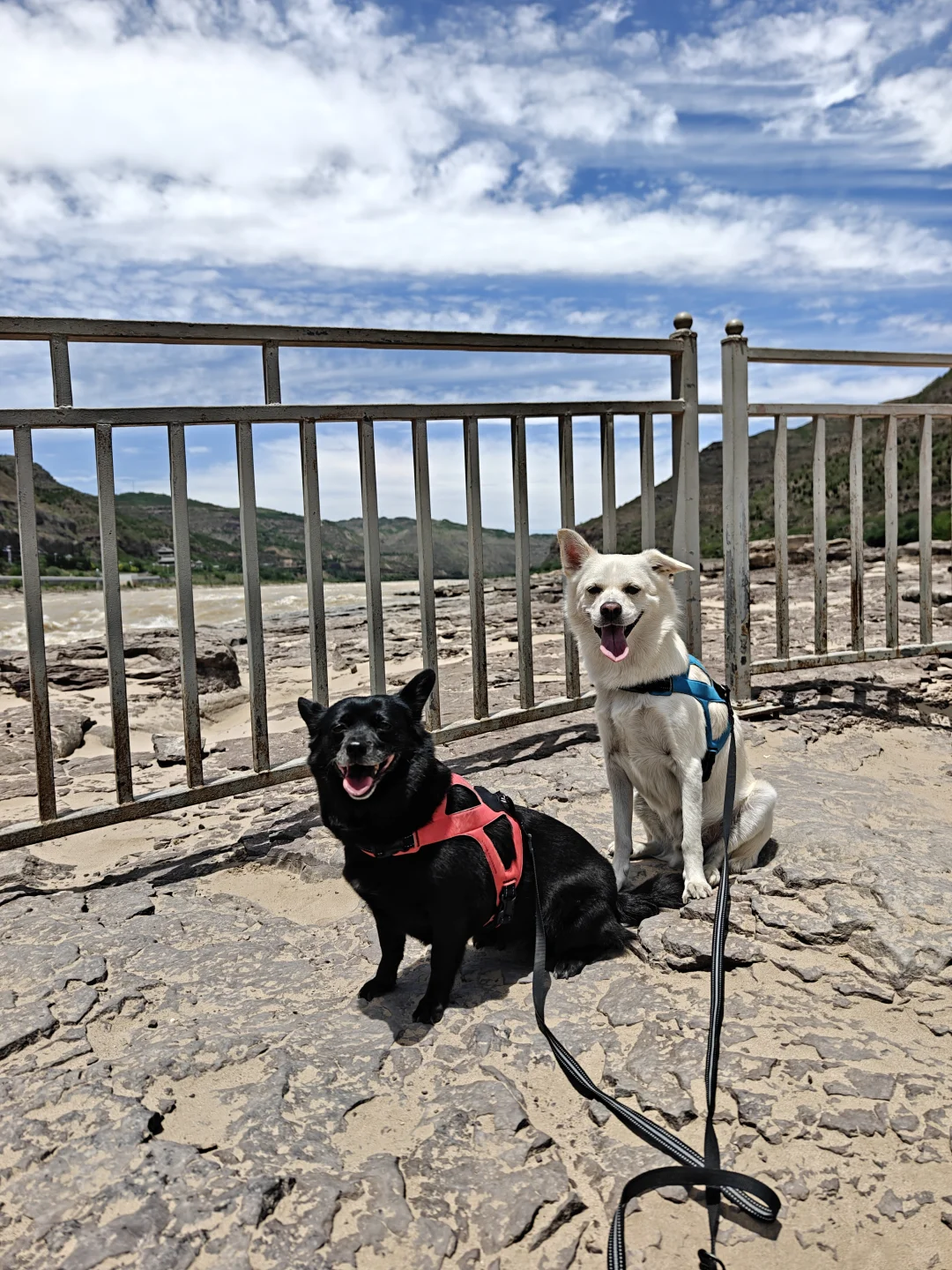 宠物友好景区·壶口瀑布（山西侧）