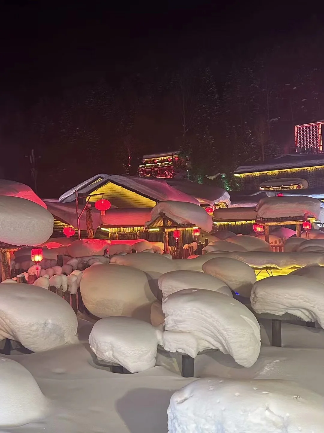 📍雪乡｜童话里的狗熊岭☃️（附攻略）