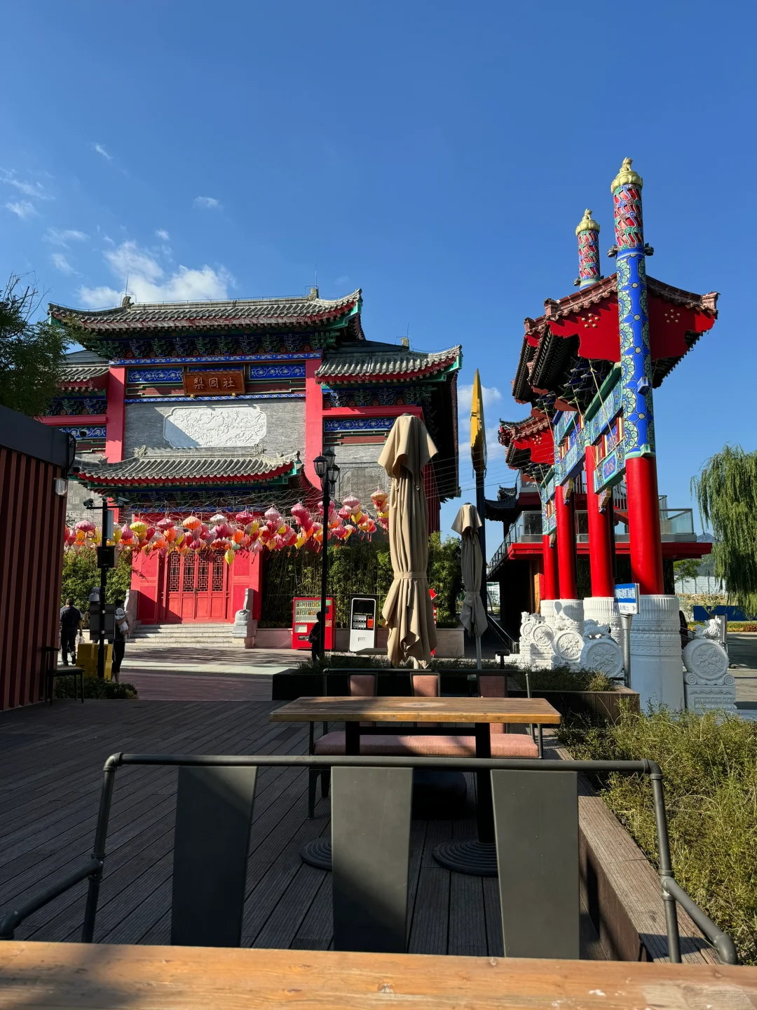 泰安这个免费景点也太安逸啦!