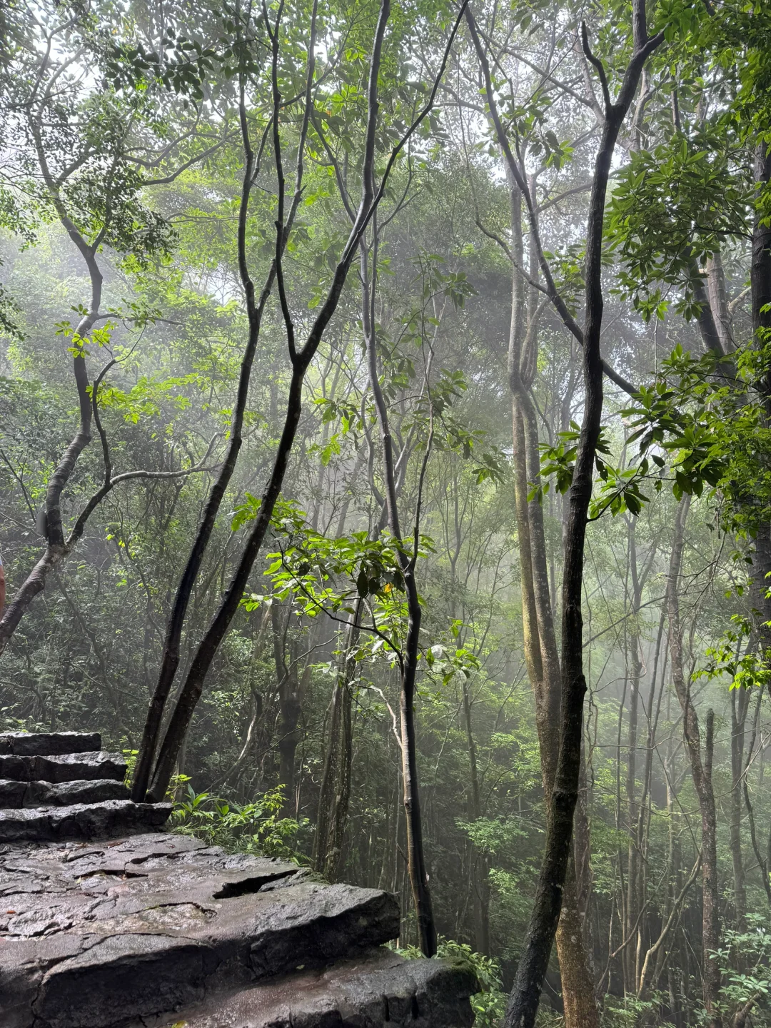灵通山悬空寺🛕｜当代🐮🐴一有空就旅游攻略