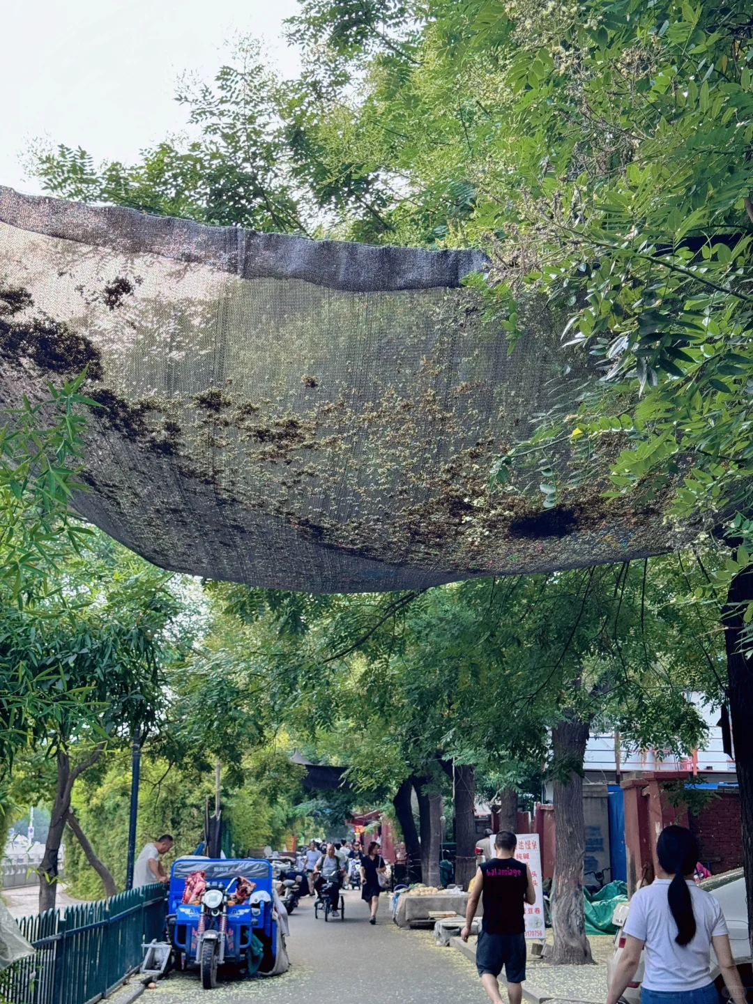 邯郸1日游|暑假周末去河北!