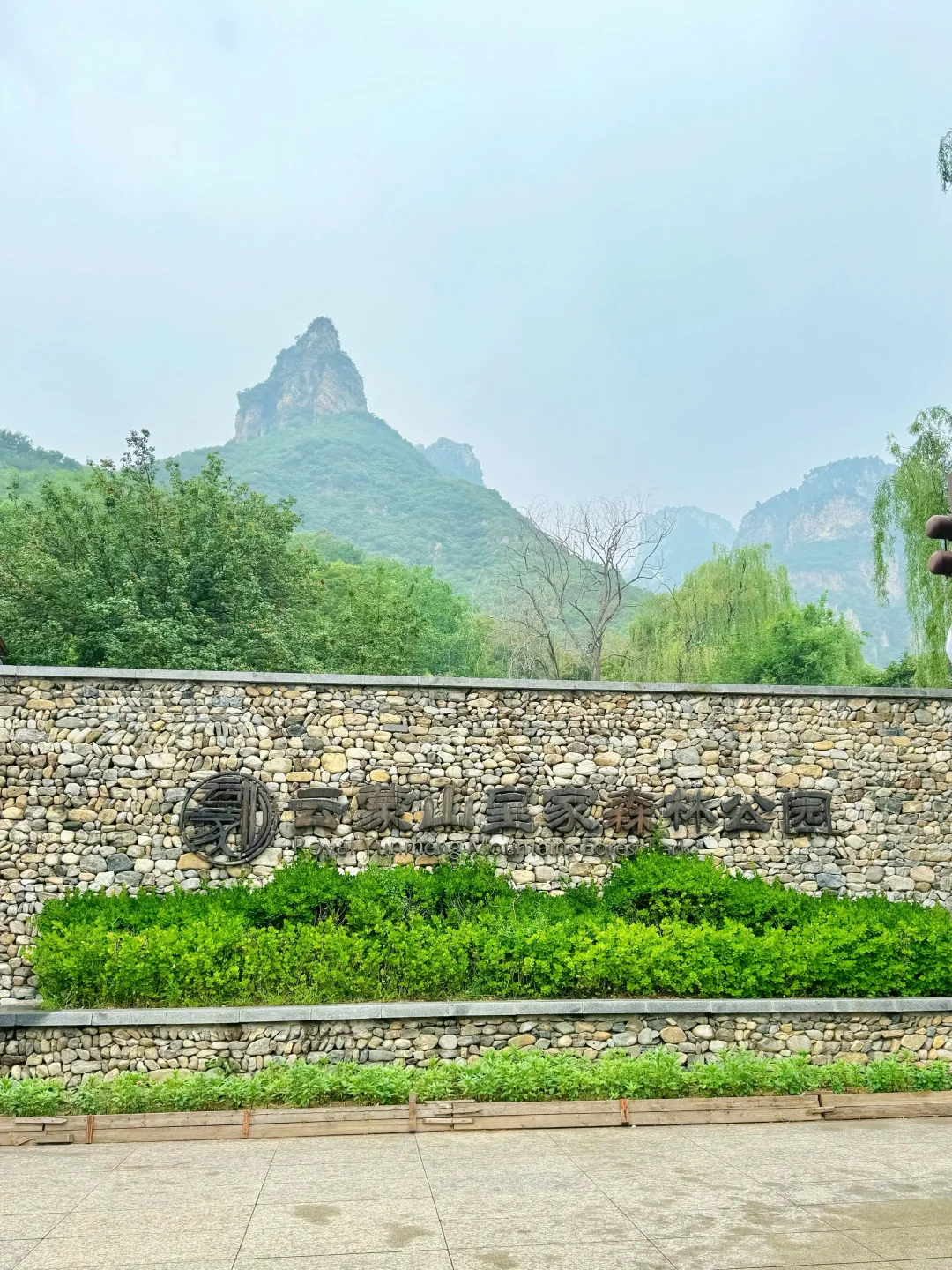 进山吸氧💚解锁小众景点云蒙山一日游攻略版