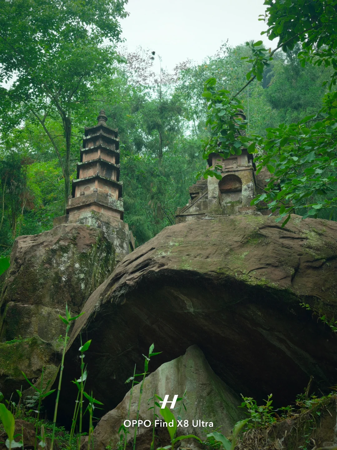 在荒废的景区，我寻到了千塔佛国