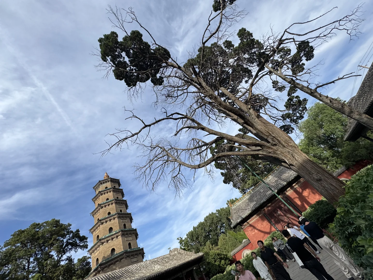 晋祠真的不错 👍