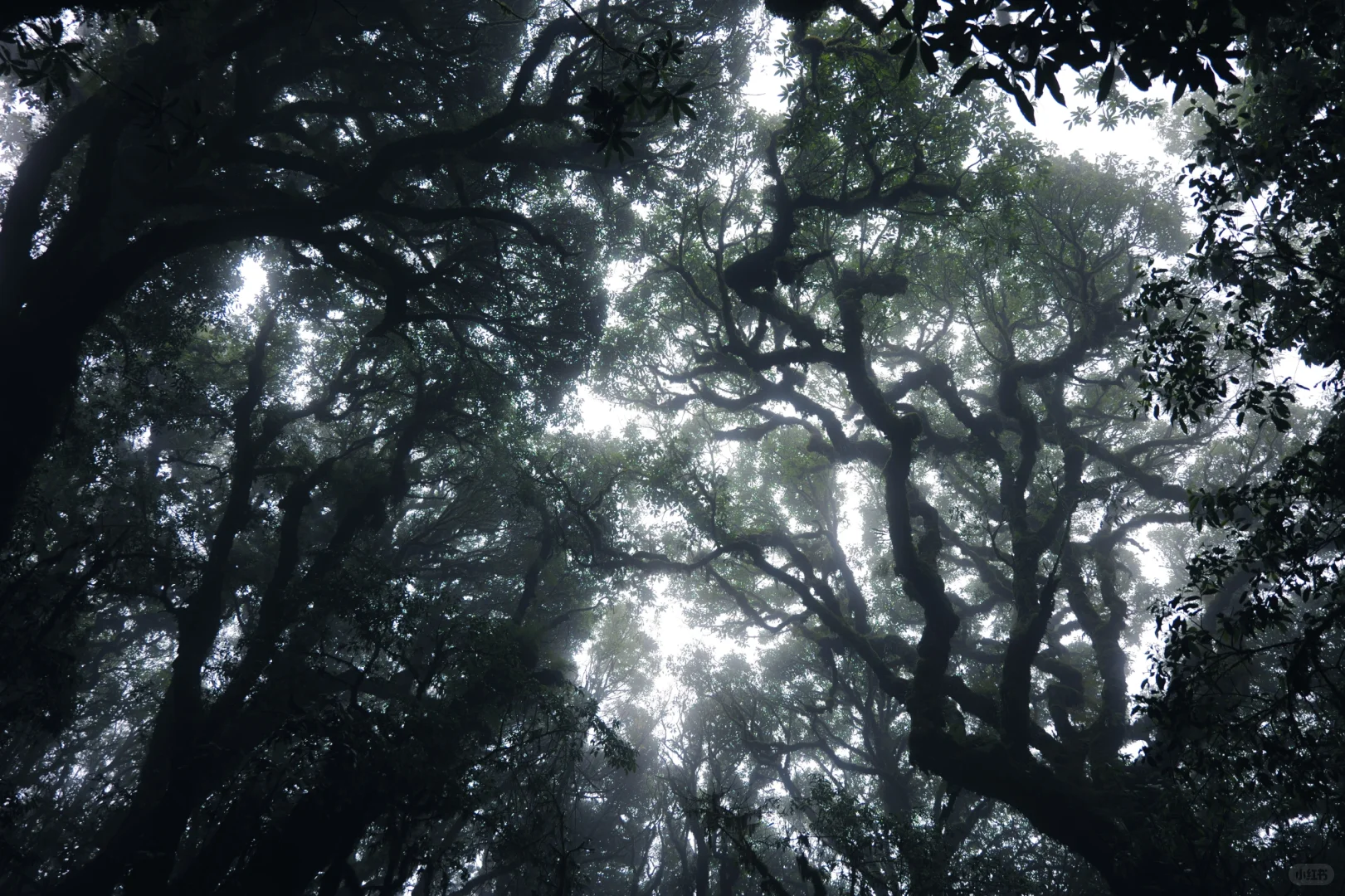 滇西南第一天,终于来到传说中的哀牢山