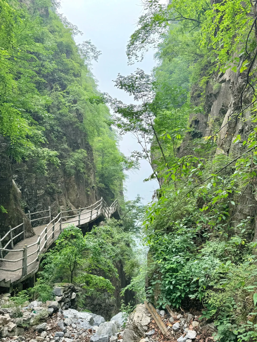进山吸氧💚解锁小众景点云蒙山一日游攻略版