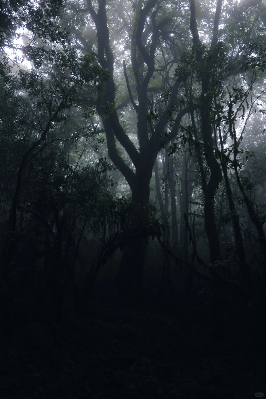 滇西南第一天,终于来到传说中的哀牢山
