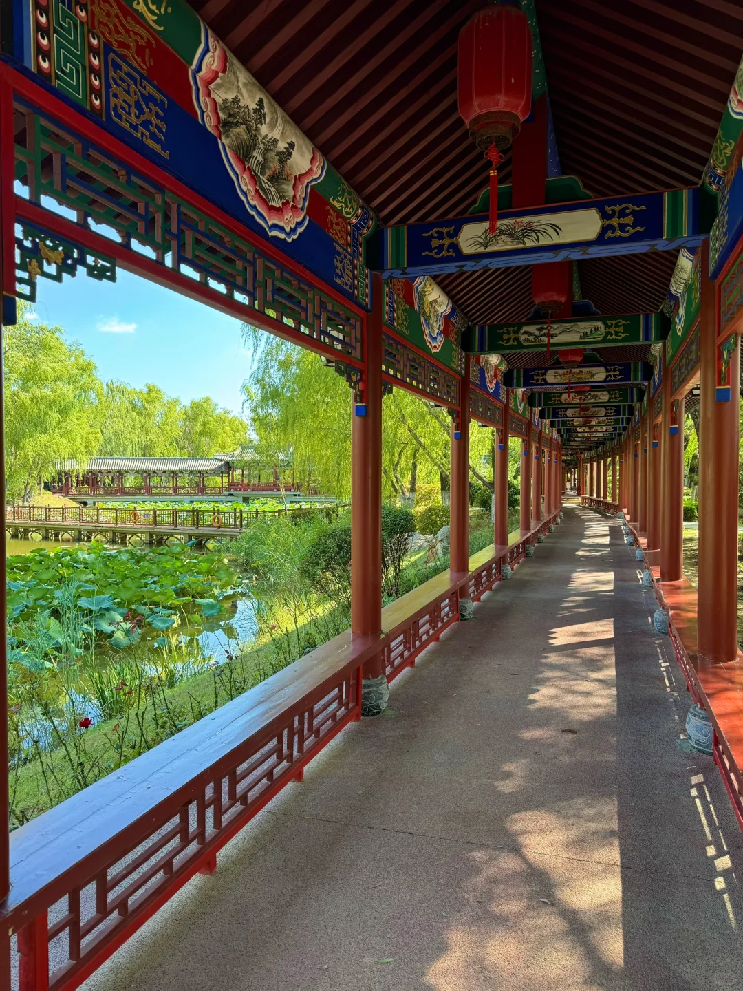 泰安这个免费景点也太安逸啦!