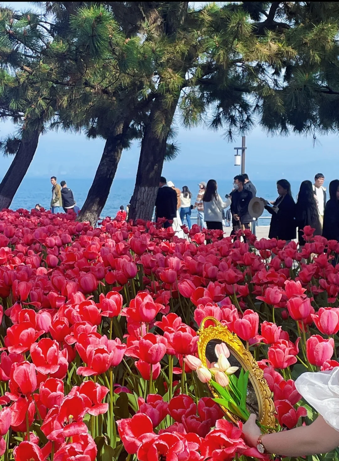 我去 威海好美啊🌊️🌊