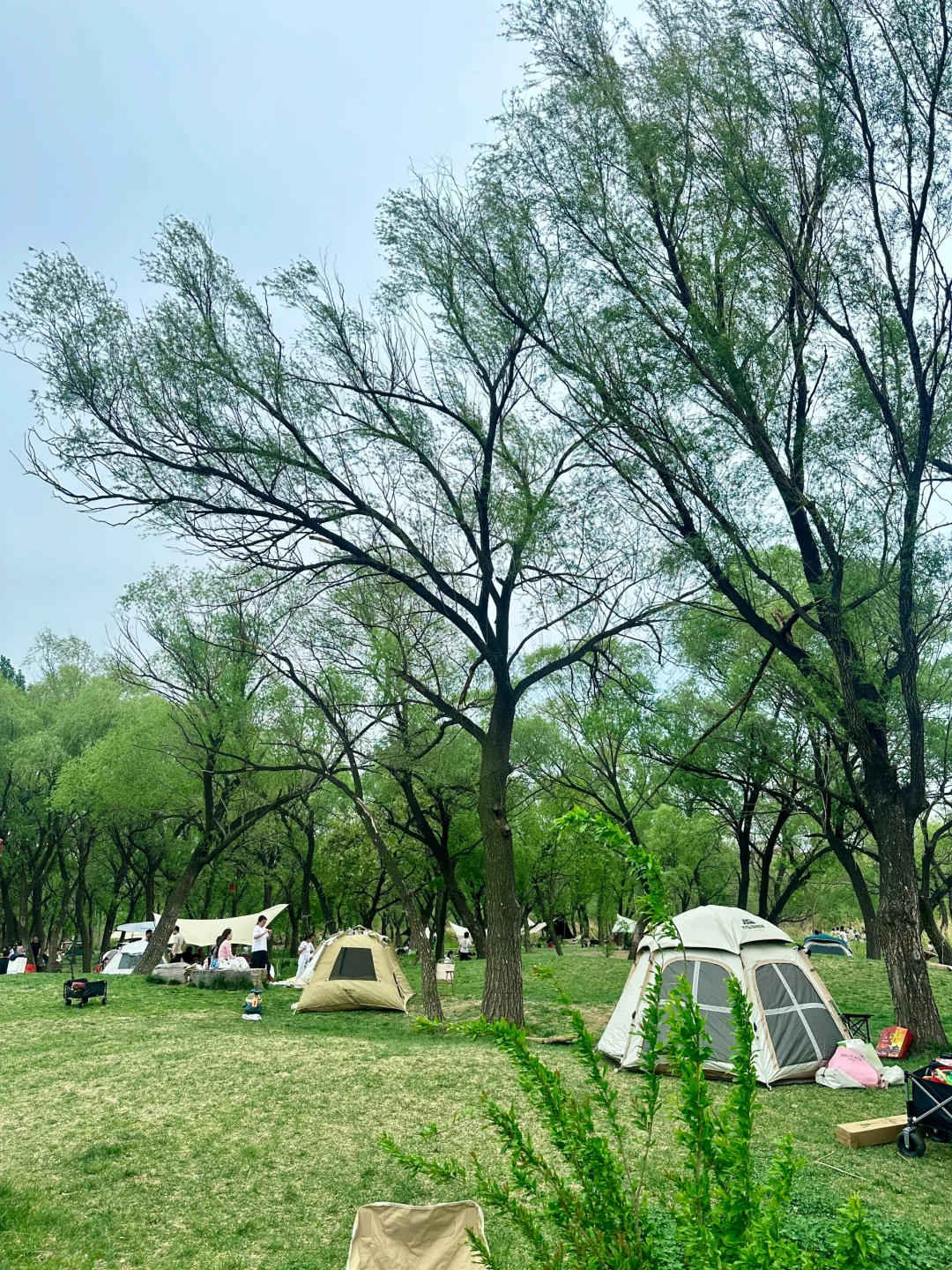 哇噻🤩邯郸的后花园，一不小心闯入绿野仙踪