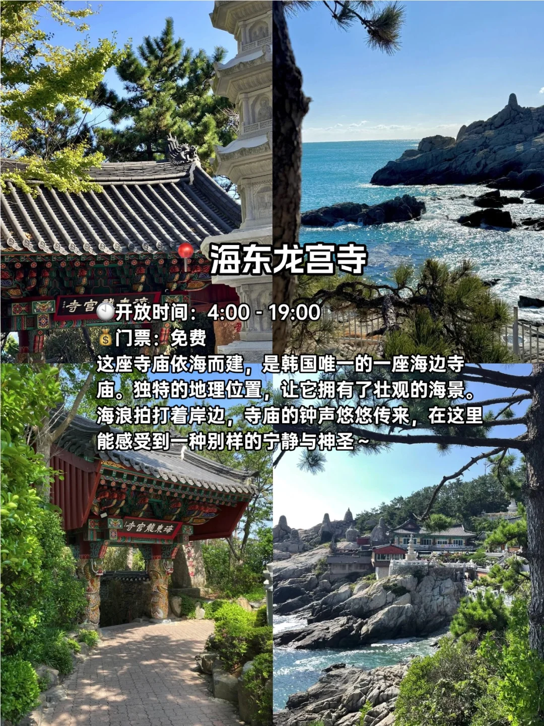 韩国地陪 | 釜山必去九大景点！不踩雷版