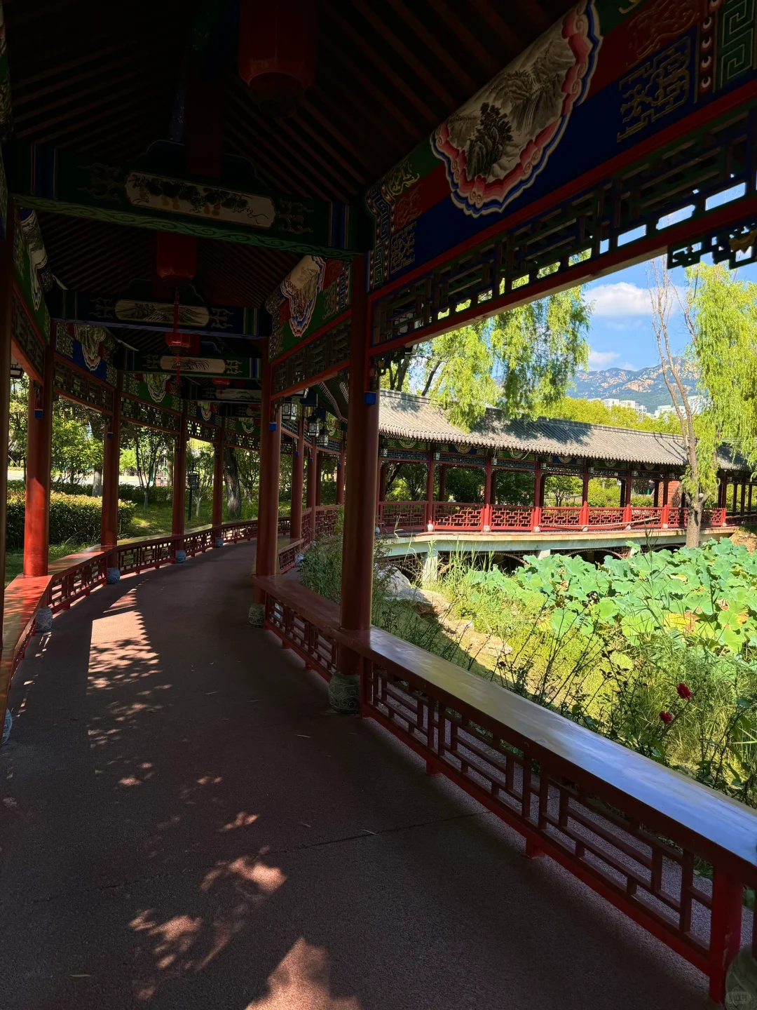 泰安这个免费景点也太安逸啦!