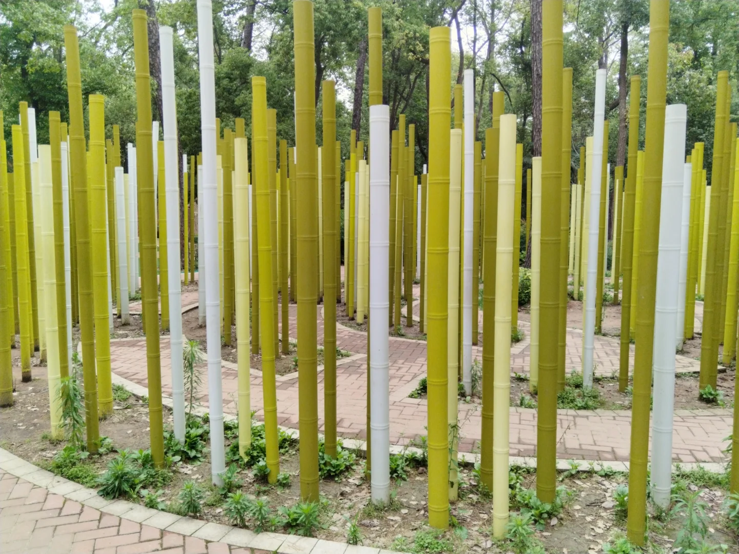 仿佛人间仙境,简直太美了