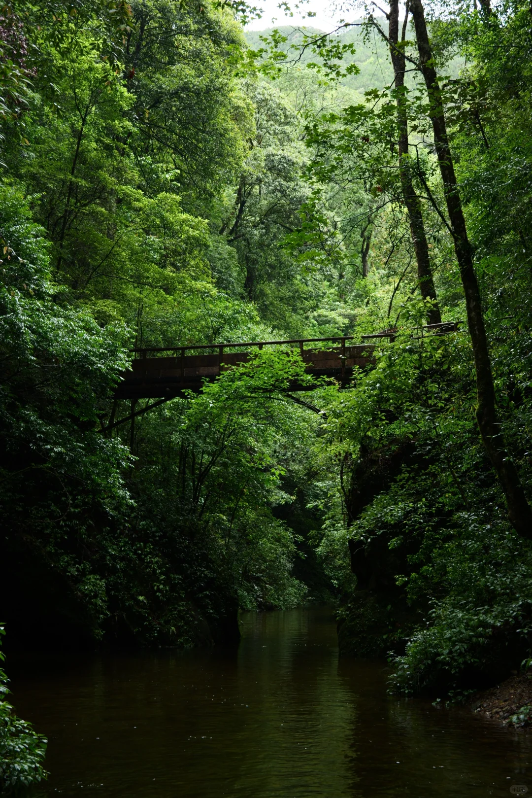 滇西南第一天,终于来到传说中的哀牢山