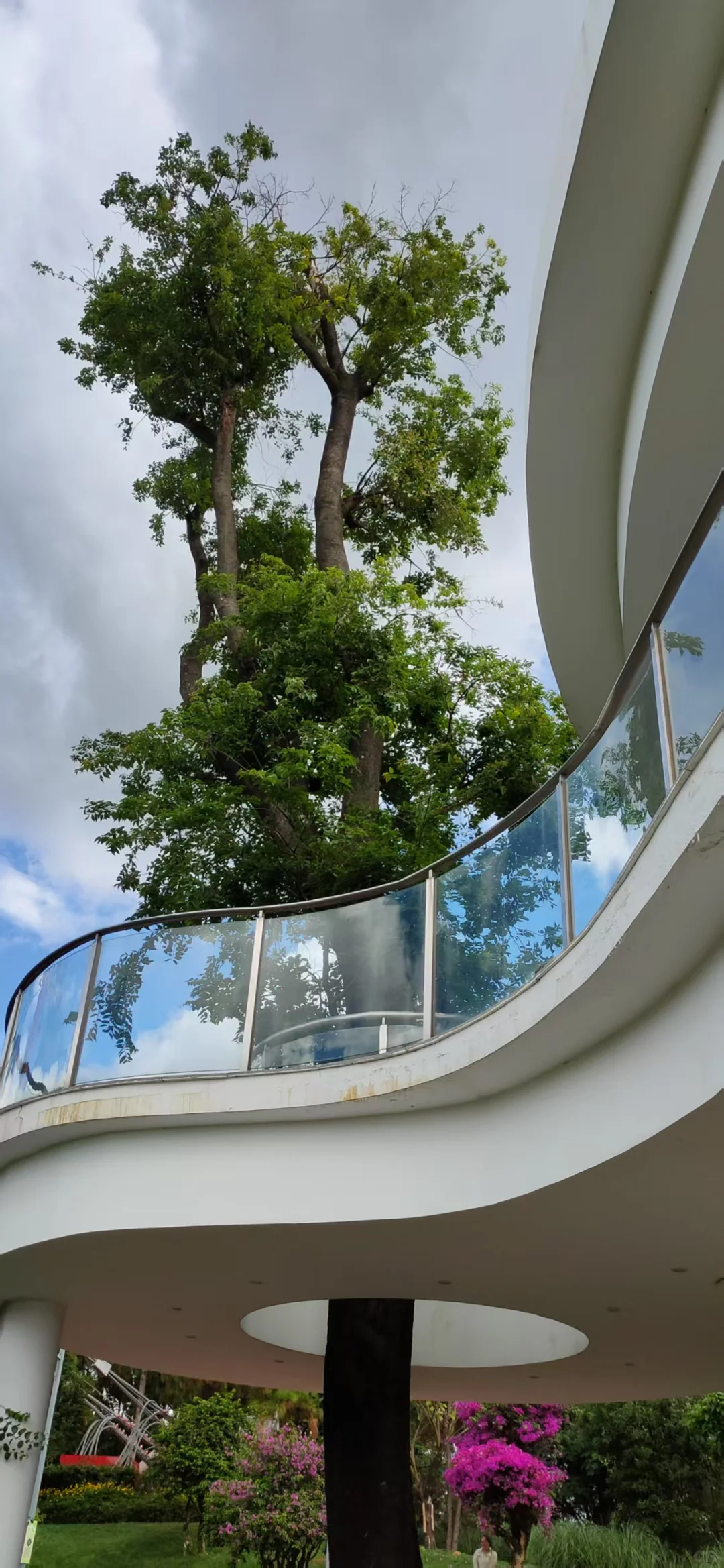 弥勒~不想去网红景点，就来这山顶森林书吧