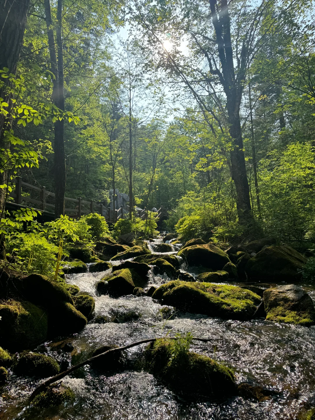 端午假期去哪玩