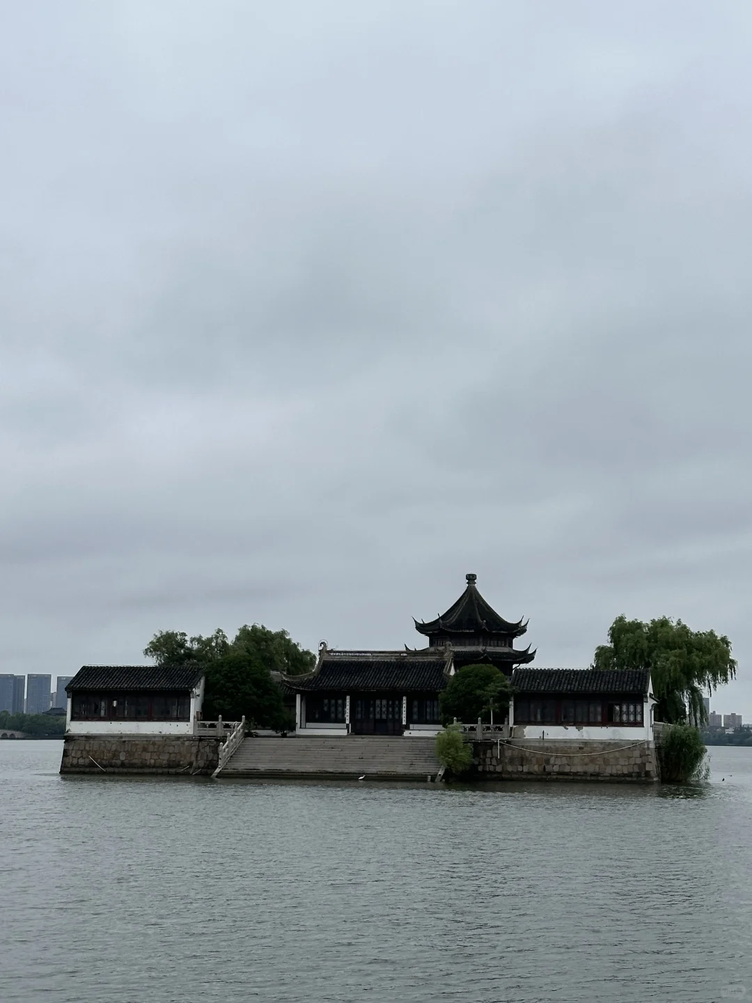 快看，石湖荷叶开啦🍃