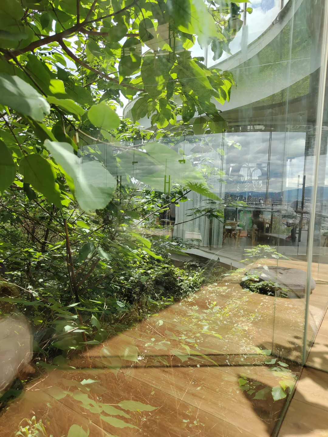 弥勒~不想去网红景点，就来这山顶森林书吧