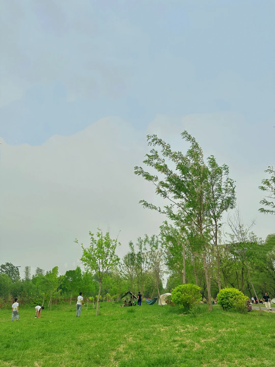 哇噻🤩邯郸的后花园，一不小心闯入绿野仙踪