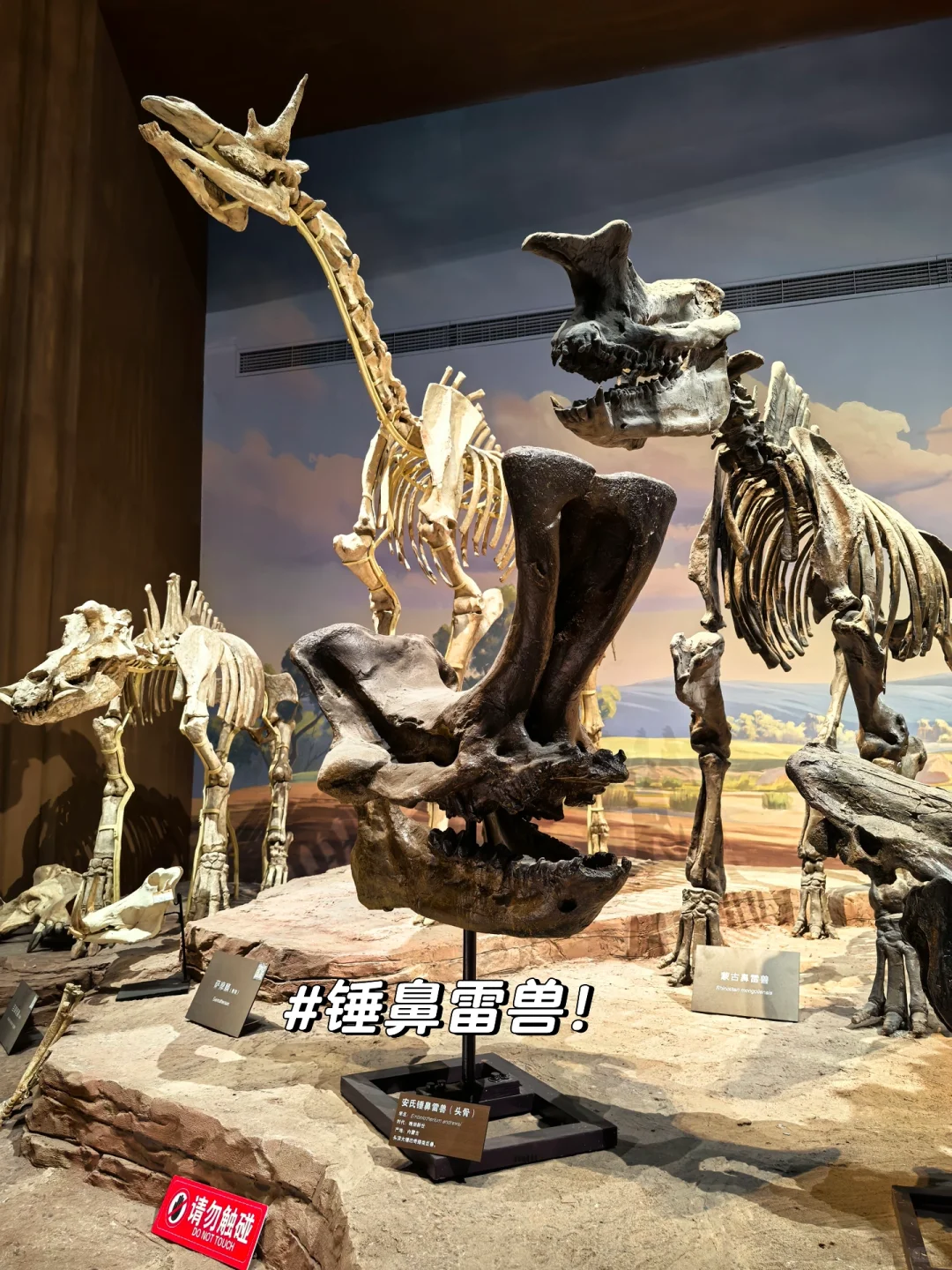 这么近那么美，周末到河北保定出差！