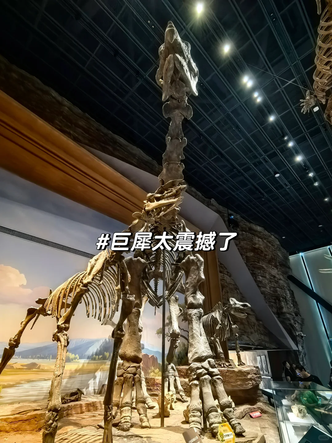 这么近那么美，周末到河北保定出差！