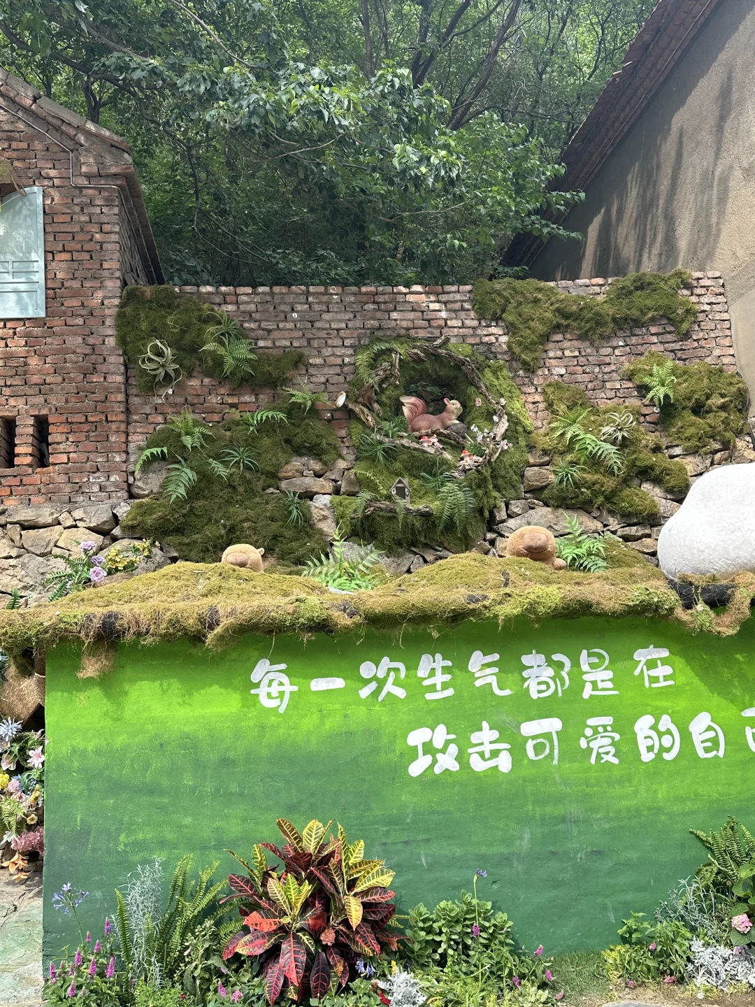 每一处都好适合拍照 好喜欢