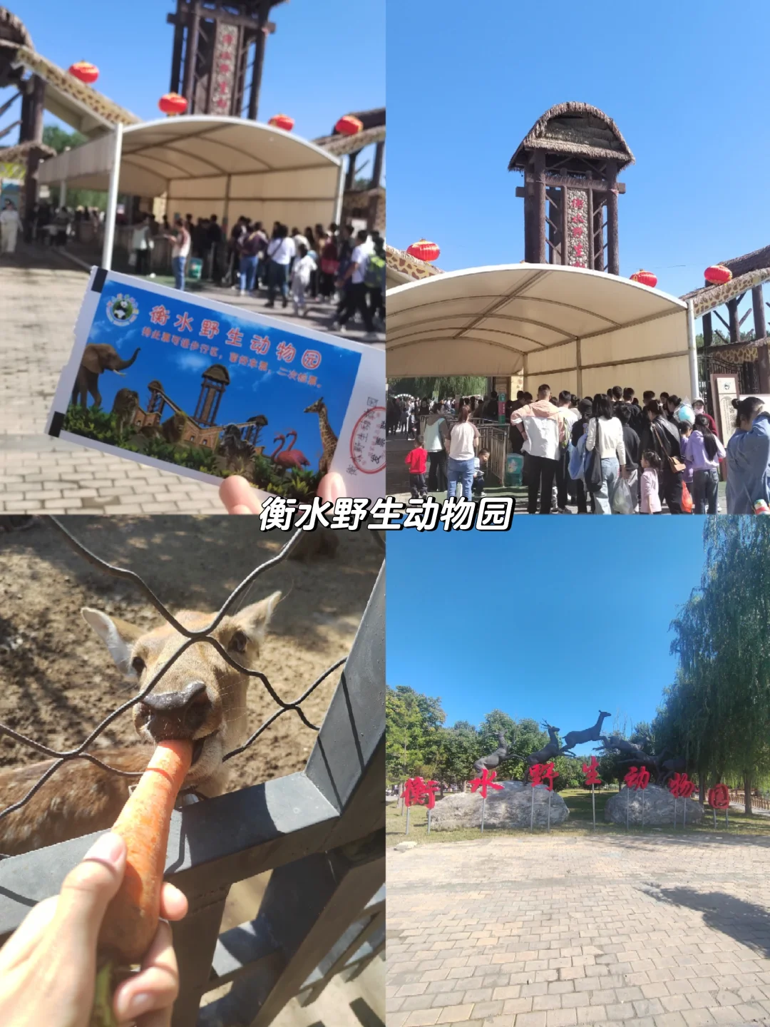 周末出逃北京丨衡水人均100一日游攻略❗️