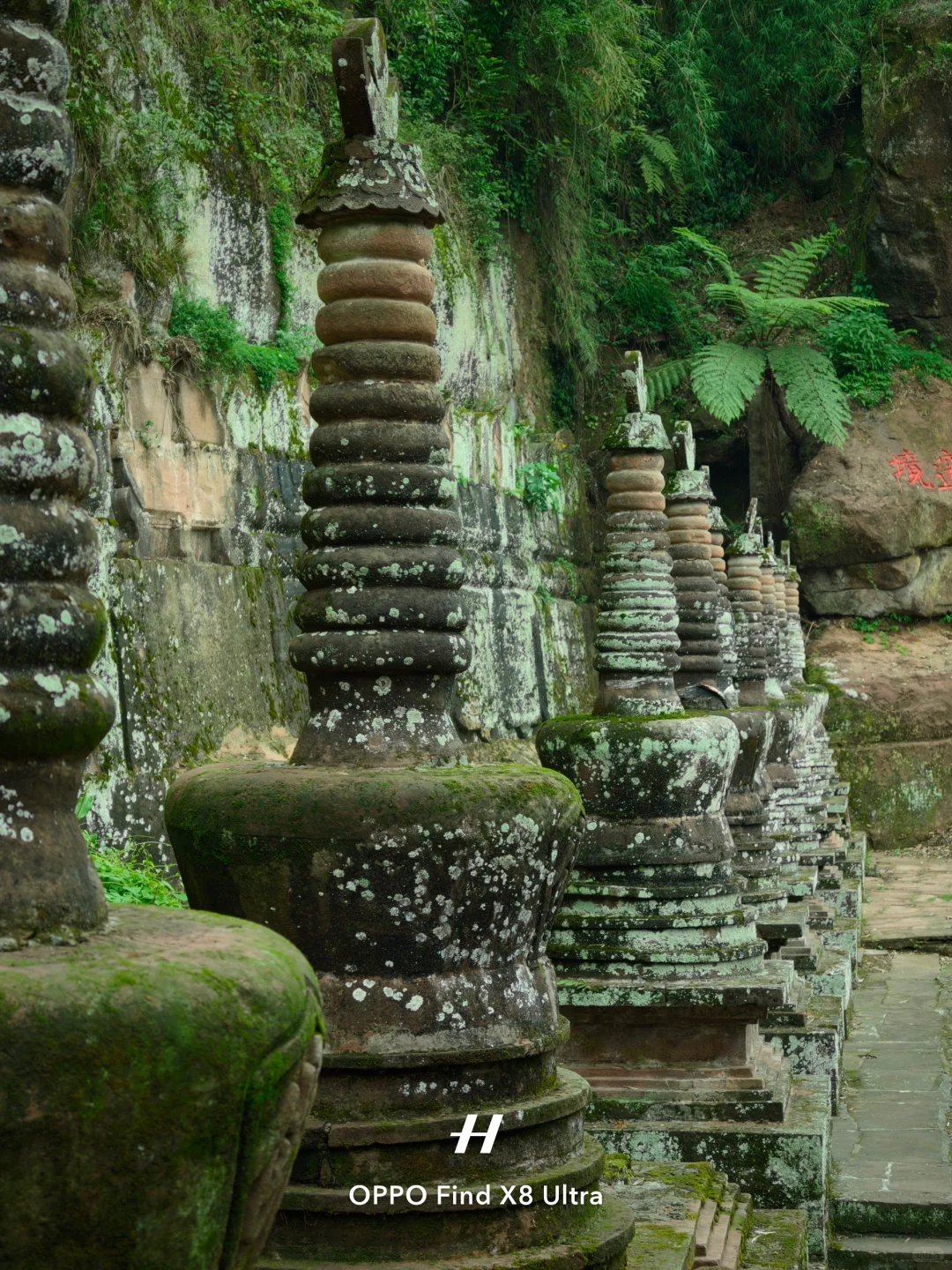 在荒废的景区，我寻到了千塔佛国