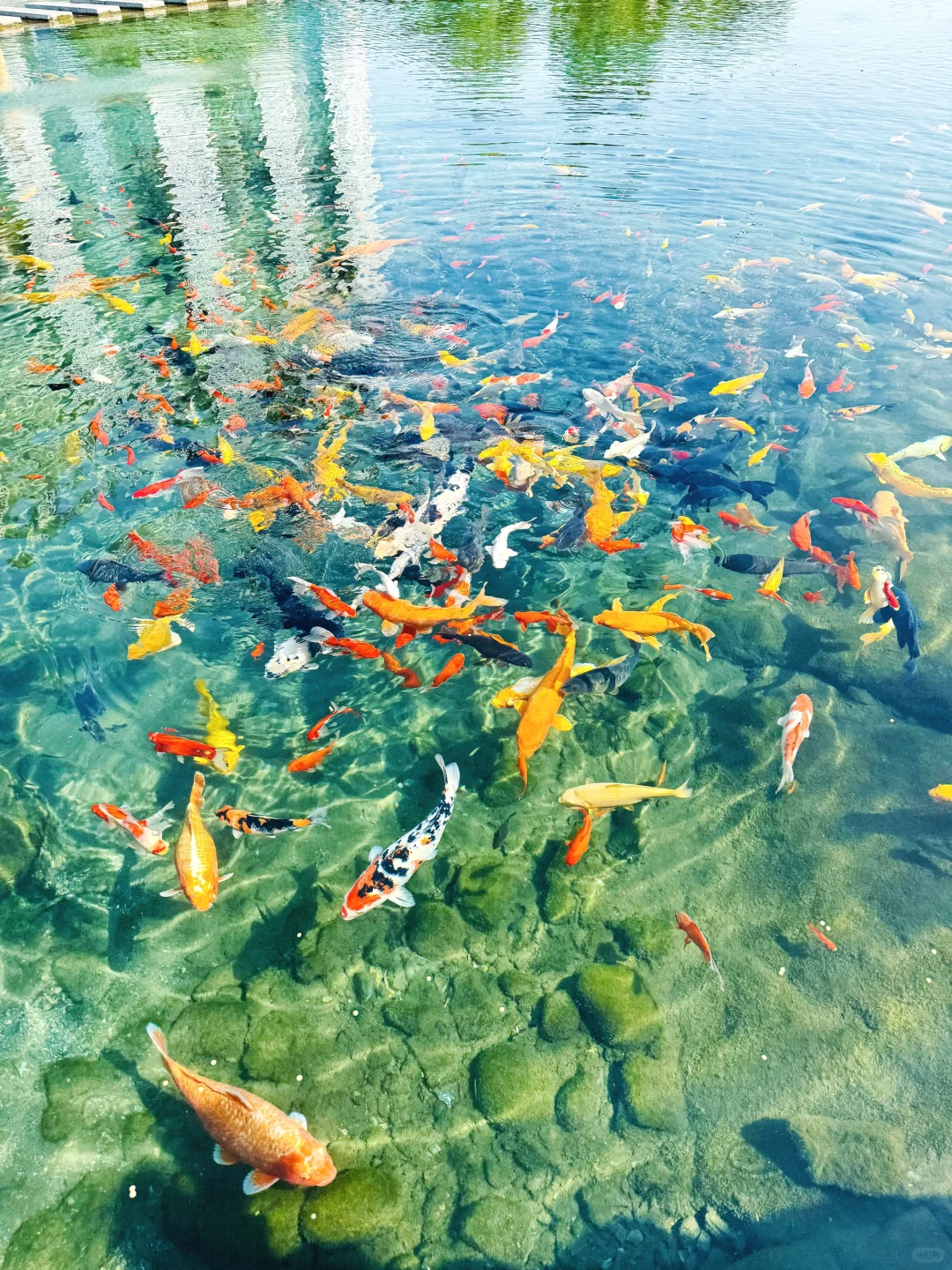 北京出发🚄邯郸三日游