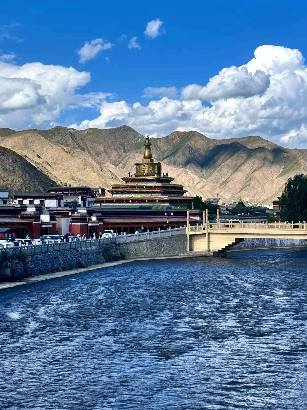 放弃新疆了❗这个夏天去20℃的小众甘南避暑