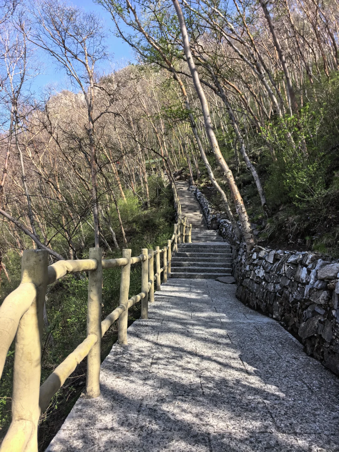 5A 景区白石山,北京 2h,二刷附攻略