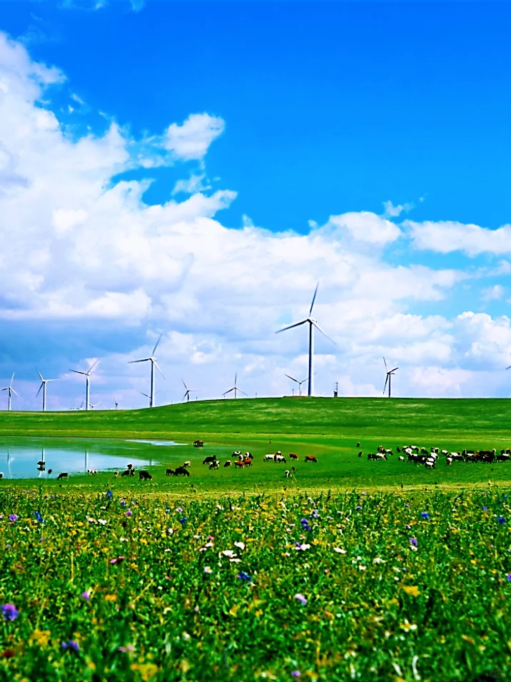 乌兰察布遛娃宝藏地，超全攻略来啦