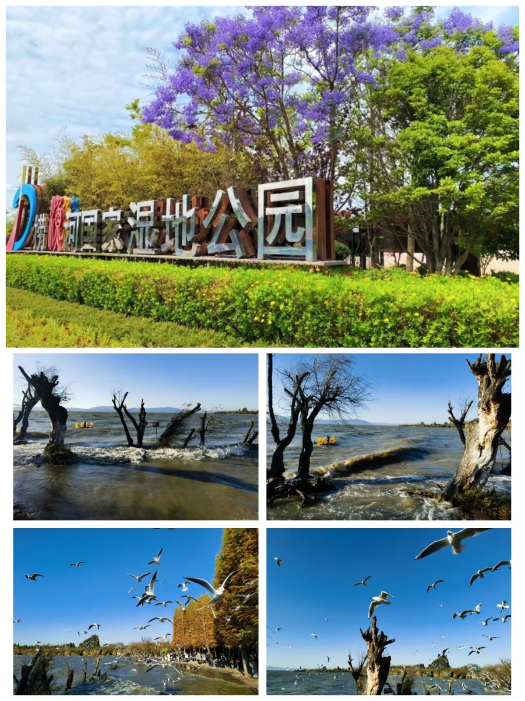 云南亲子游保姆级旅游攻略