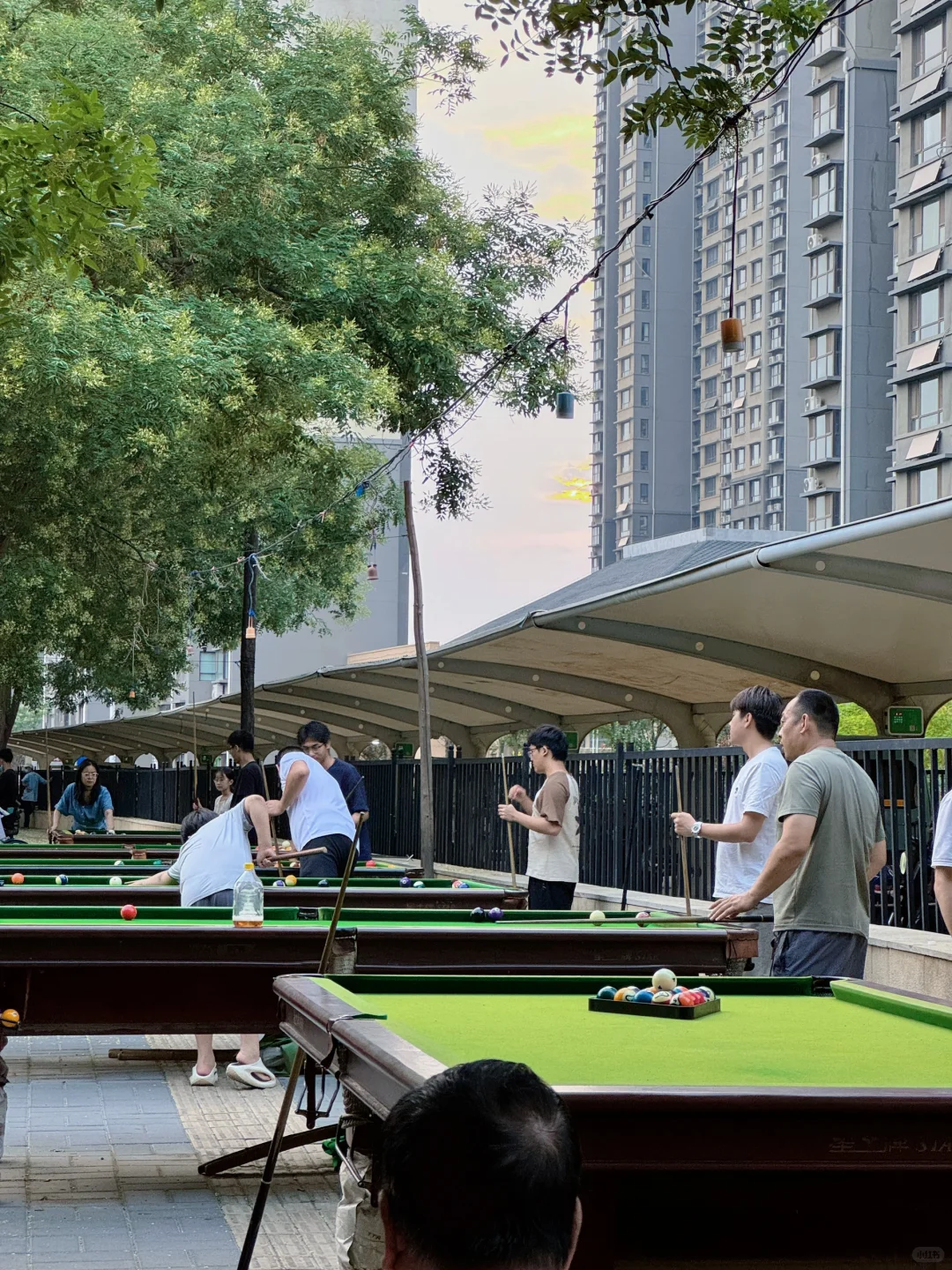 邯郸1日游|暑假周末去河北!