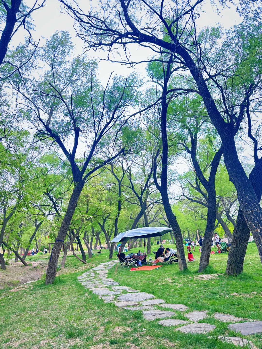 哇噻🤩邯郸的后花园，一不小心闯入绿野仙踪