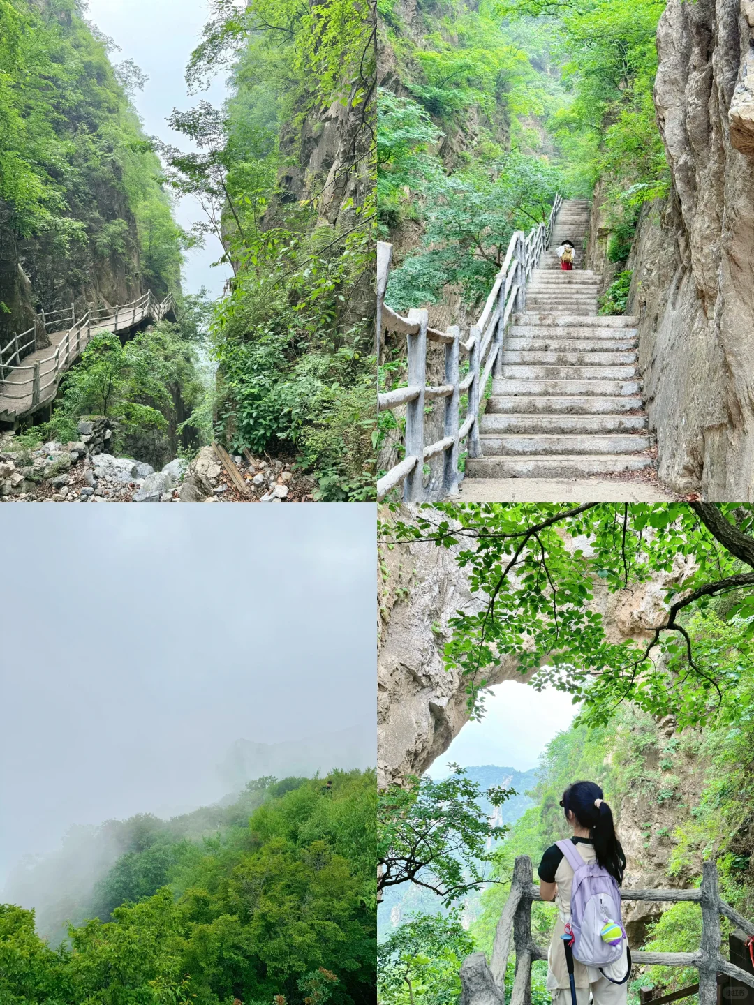 进山吸氧💚解锁小众景点云蒙山一日游攻略版