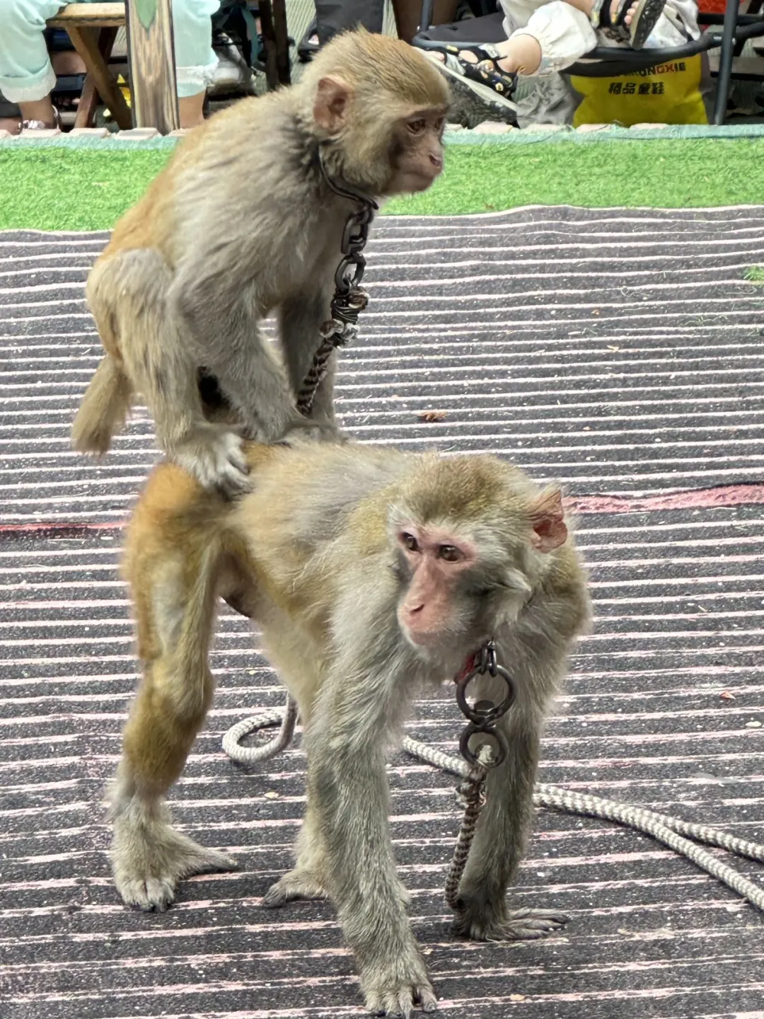 沂蒙云瀑洞天 | 临沂旅游景点游玩