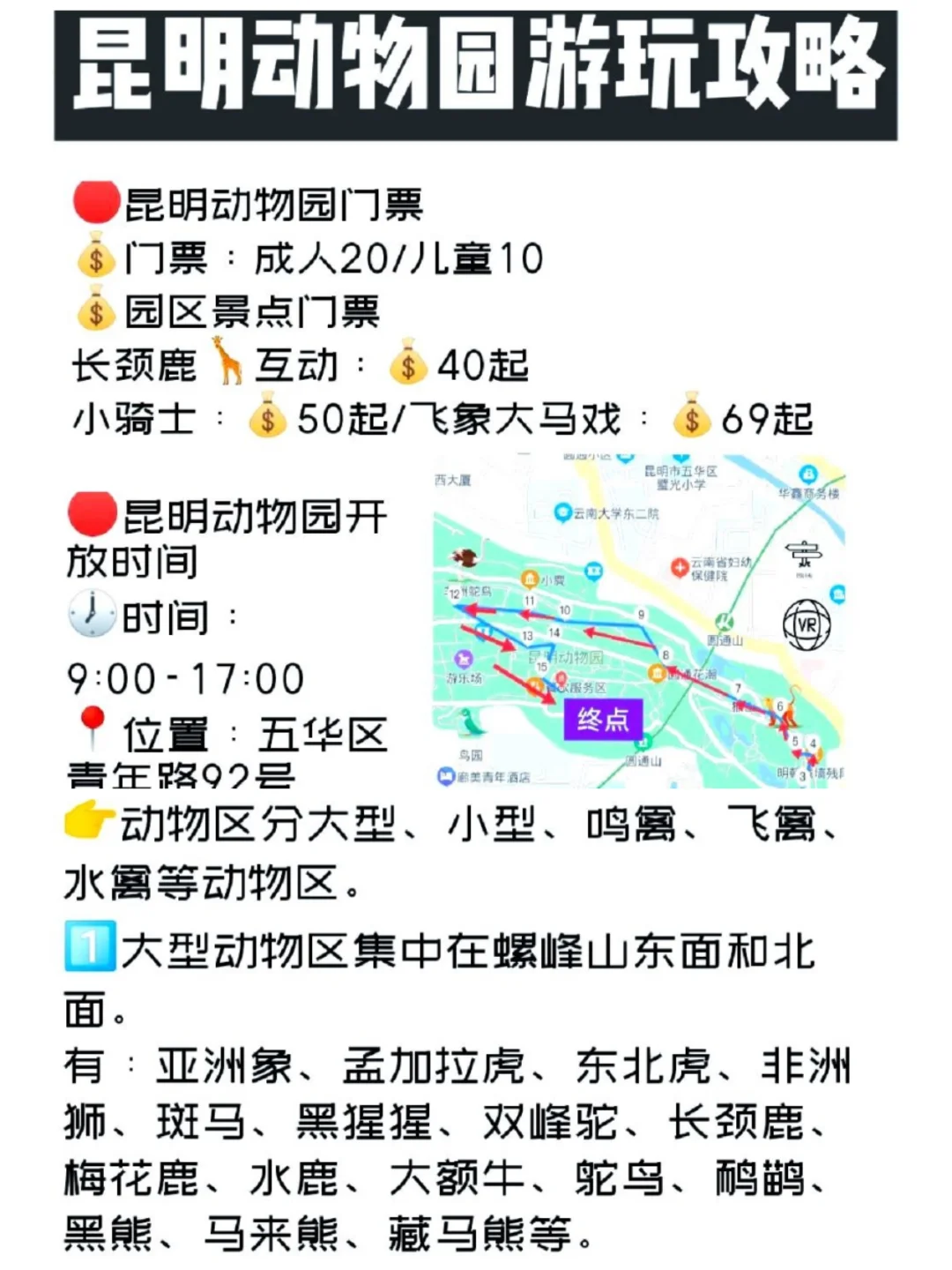 云南亲子游保姆级旅游攻略